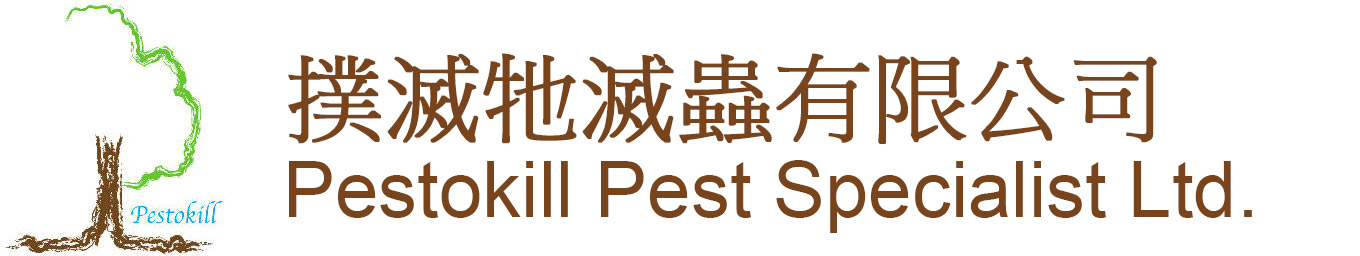 撲滅牠滅蟲有限公司 – PESTOKILL PEST SPECIALIST LTD.